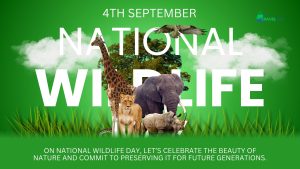 National Wildlife Day Activities